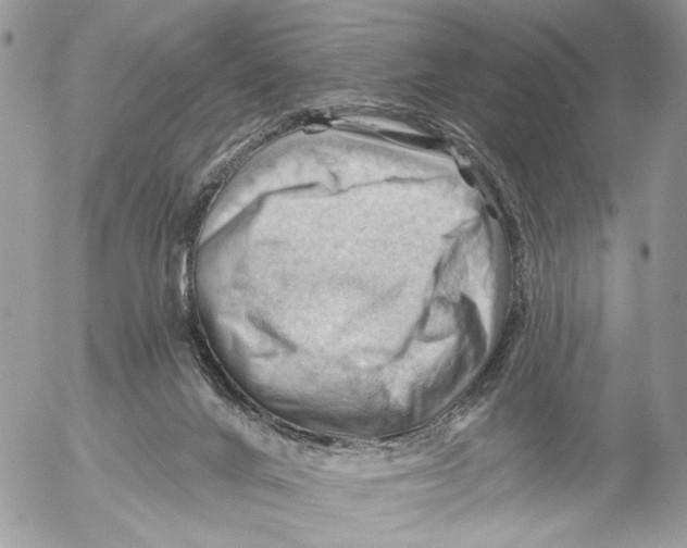 X0000053080024200508081257