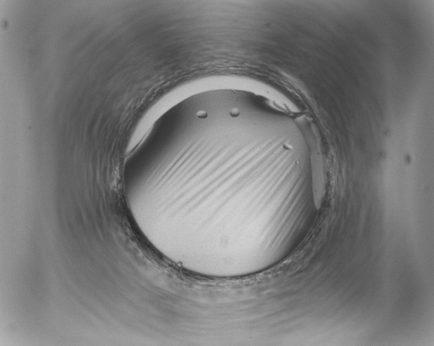 X0000053080025200508081257