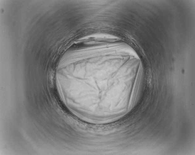 X0000053080026200508081257