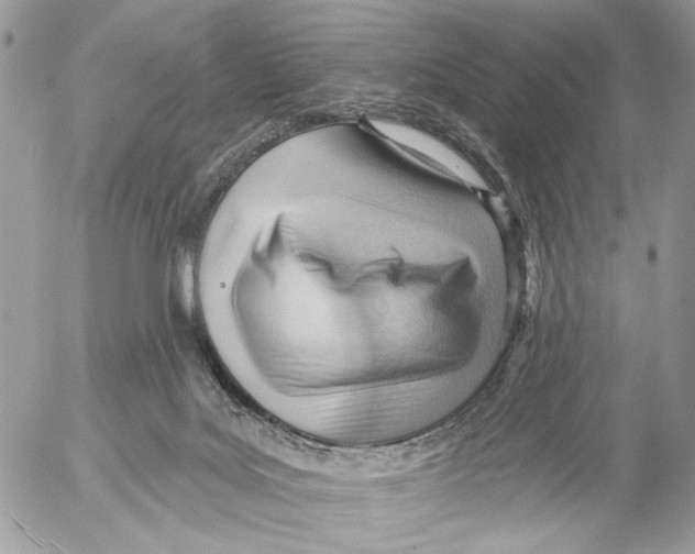 X0000053080027200508081257