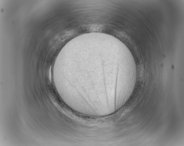 X0000053080028200508081257