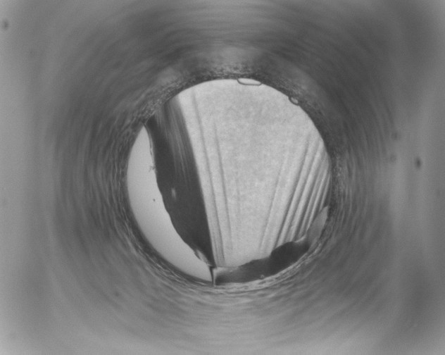 X0000053080029200508081257