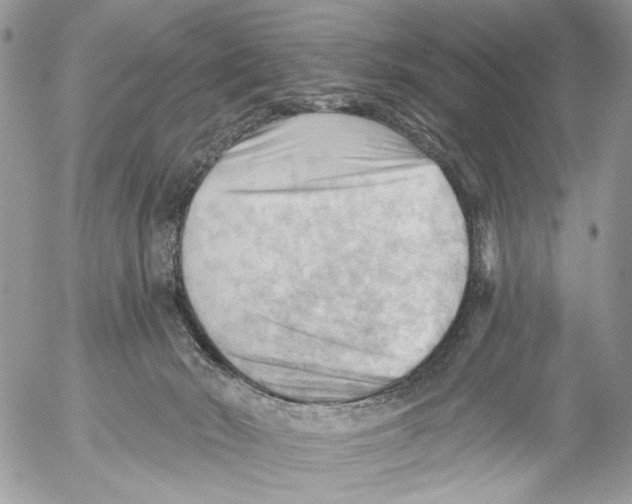 X0000053080030200508081256