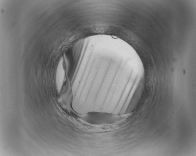 X0000053080031200508081256