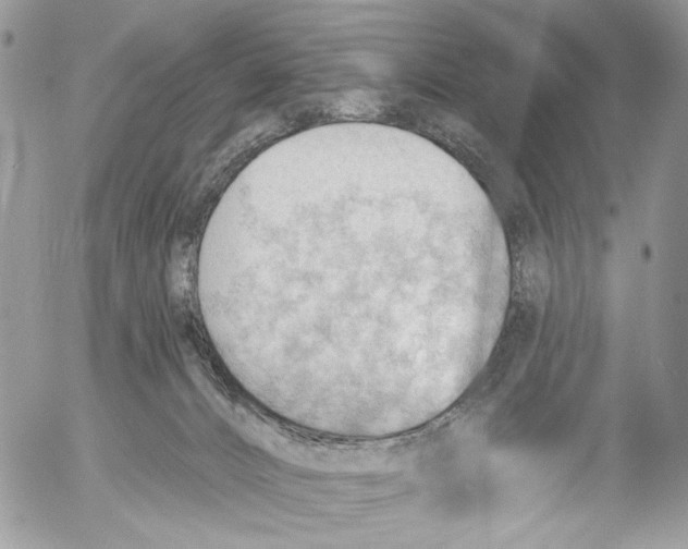 X0000053080032200508081256