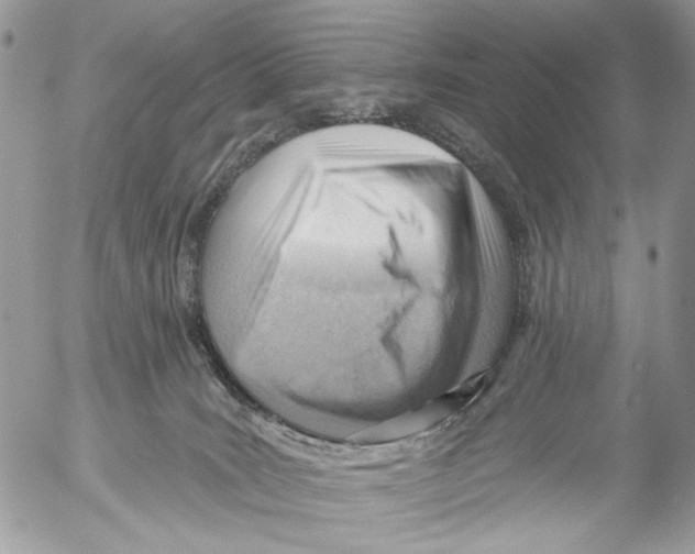 X0000053080035200508081256