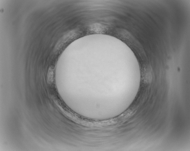 X0000053080036200508081256