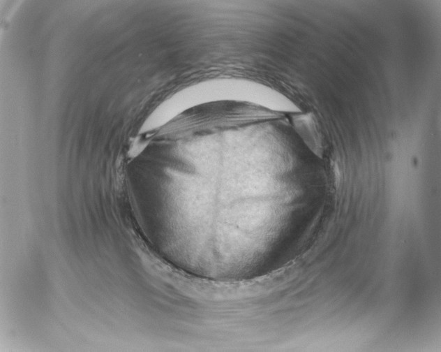 X0000053080037200508081256