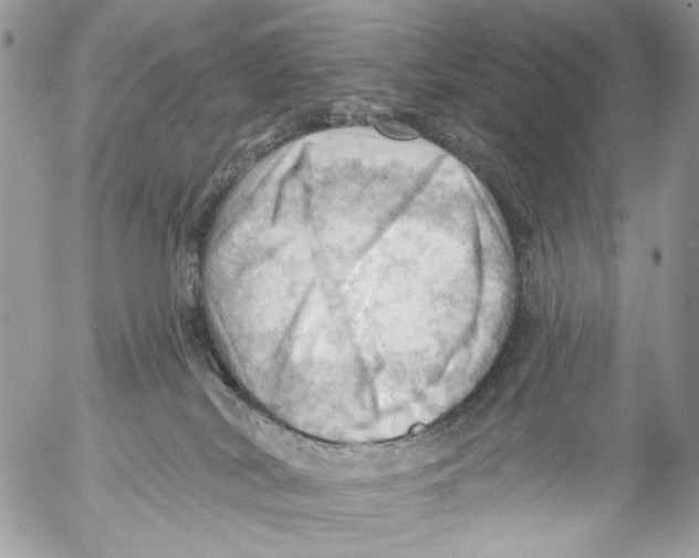 X0000053080038200508081256