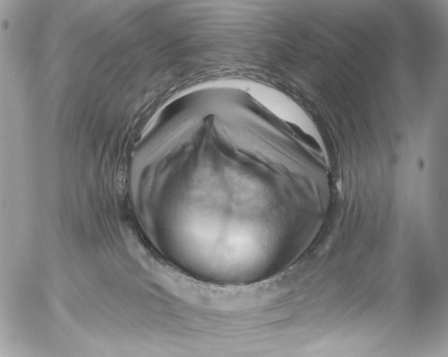 X0000053080039200508081256