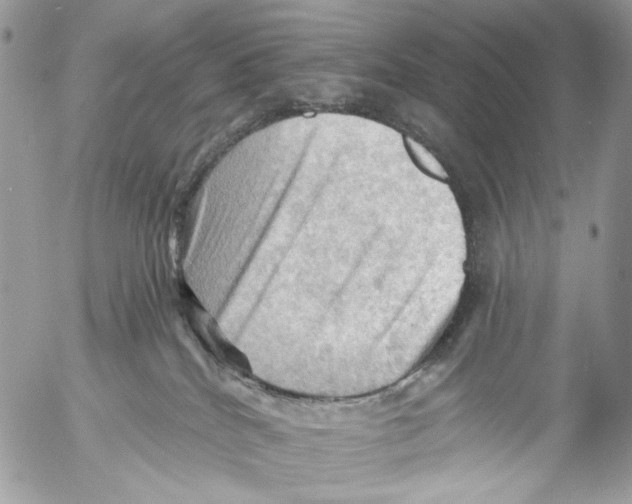 X0000053080040200508081256