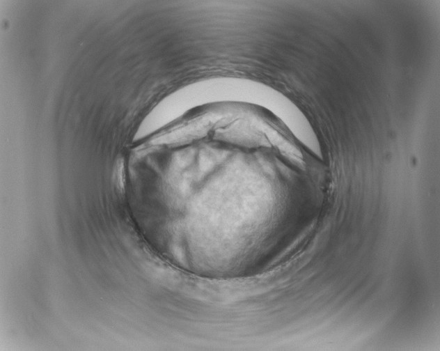 X0000053080041200508081256