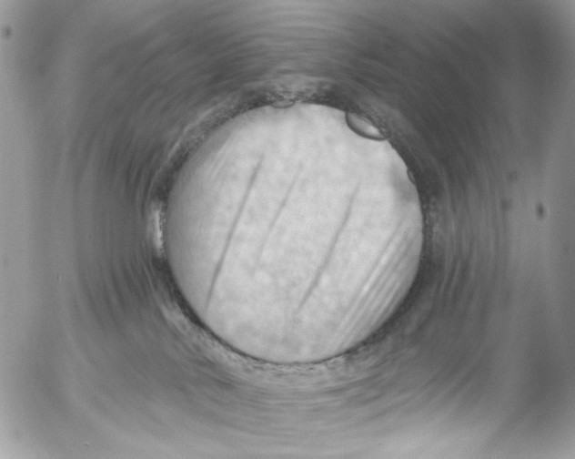 X0000053080042200508081256