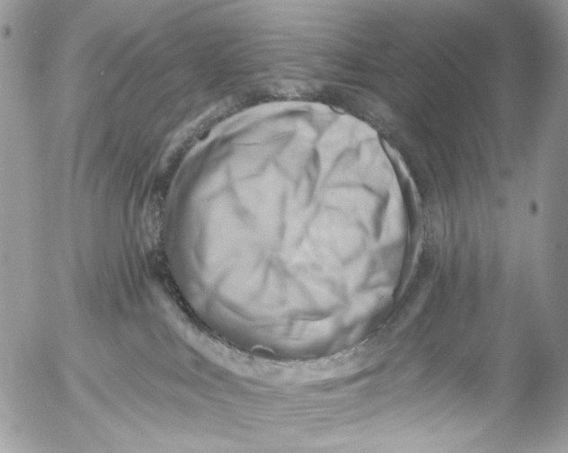 X0000053080043200508081256