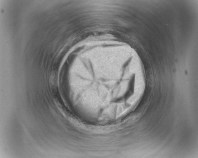 X0000053080044200508081256