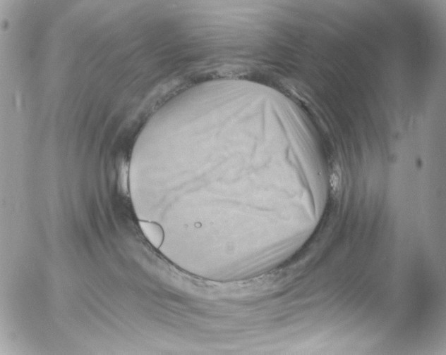 X0000053080046200508081256