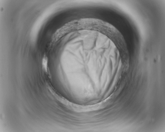 X0000053080047200508081256