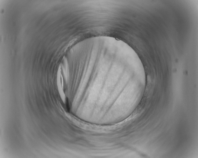 X0000053080048200508081256