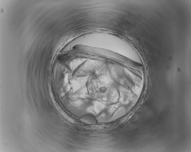 X0000053080049200508081255