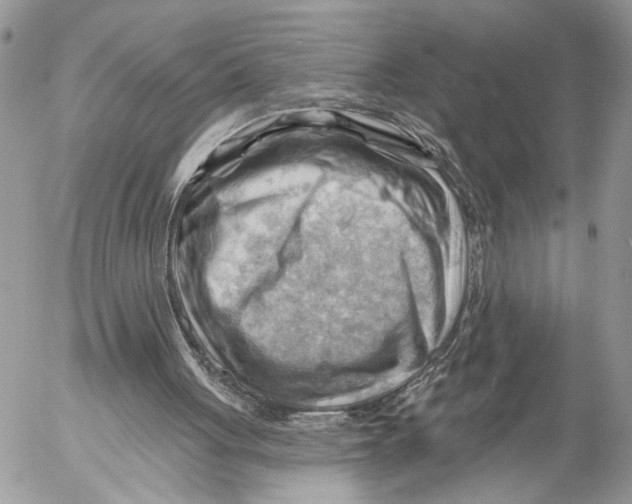 X0000053080051200508081255