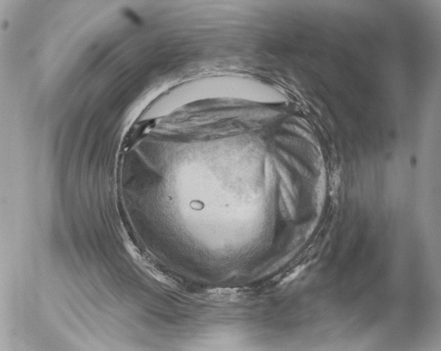 X0000053080052200508081255