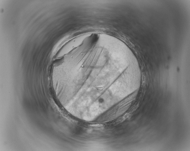 X0000053080053200508081255