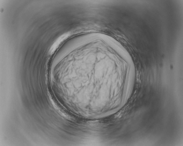 X0000053080054200508081255