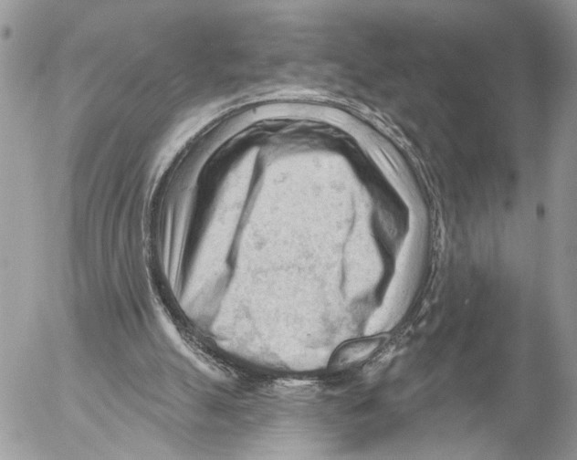 X0000053080055200508081256