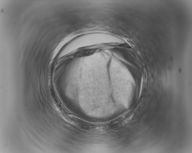 X0000053080056200508081256