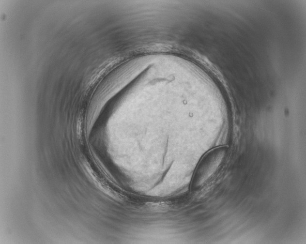 X0000053080057200508081256