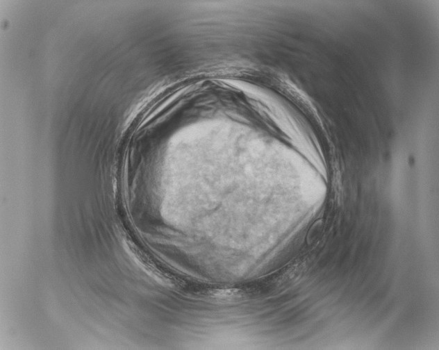 X0000053080059200508081256