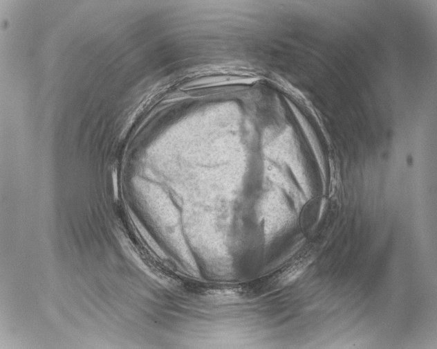 X0000053080061200508081256