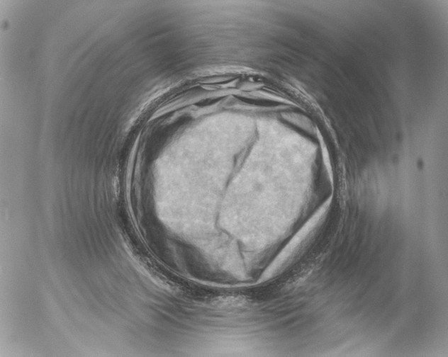 X0000053080063200508081256