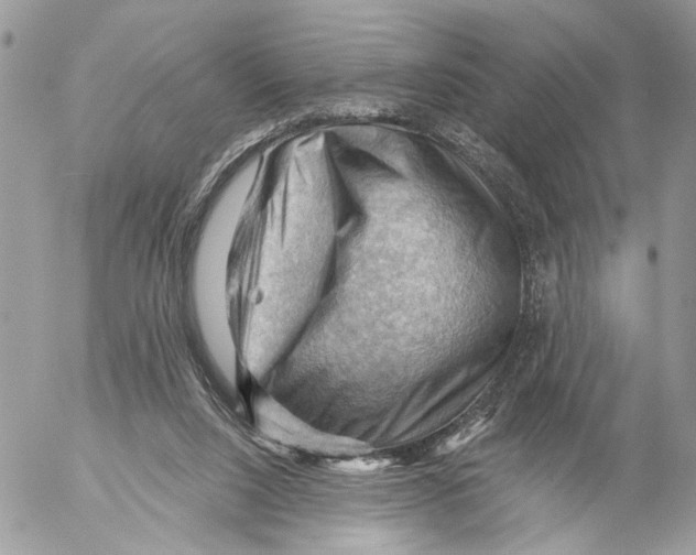 X0000053080064200508081256