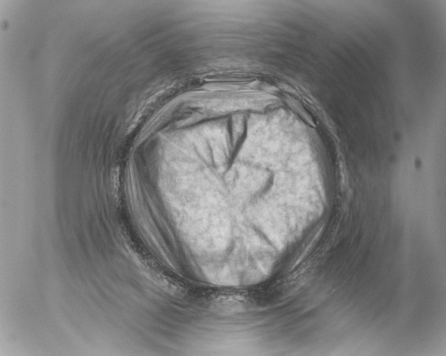 X0000053080066200508081256