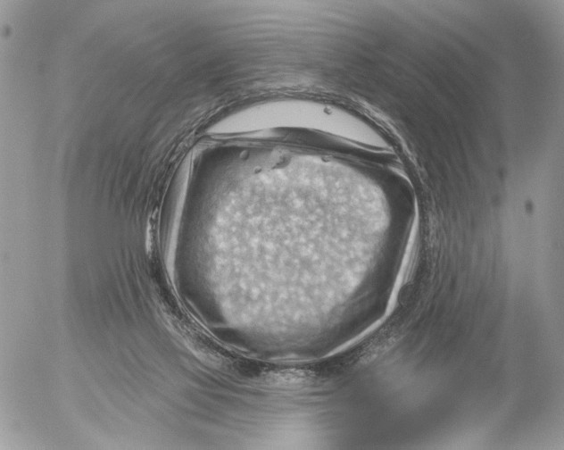 X0000053080069200508081256