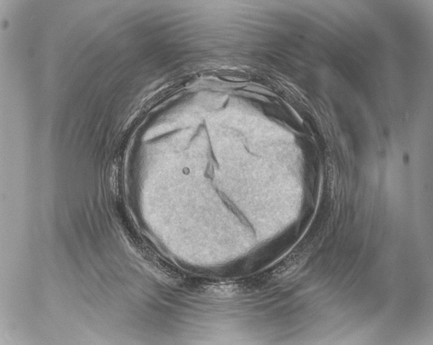 X0000053080071200508081256