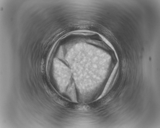 X0000053080073200508081256