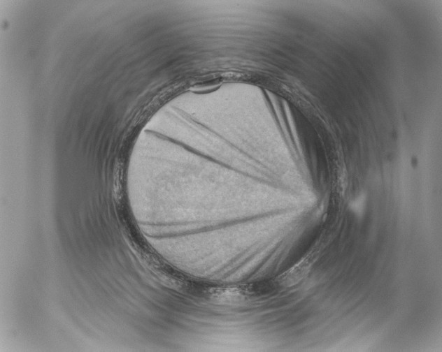 X0000053080074200508081256