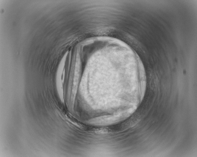 X0000053080075200508081256