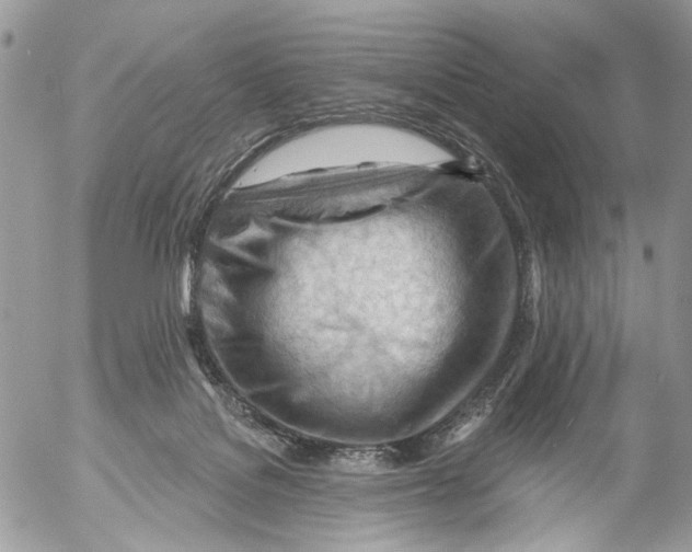 X0000053080076200508081256