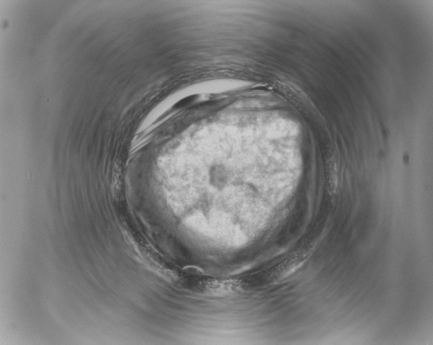 X0000053080077200508081256