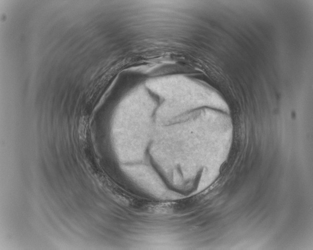 X0000053080078200508081256