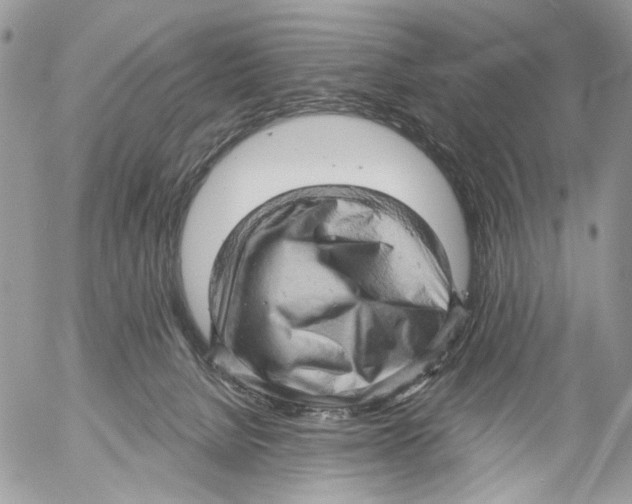 X0000053080080200508081256