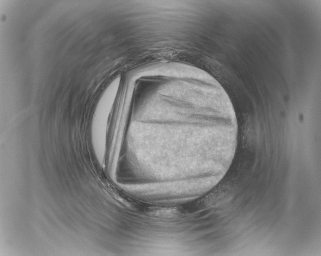 X0000053080081200508081256