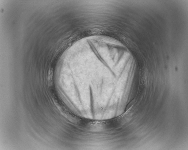 X0000053080082200508081256