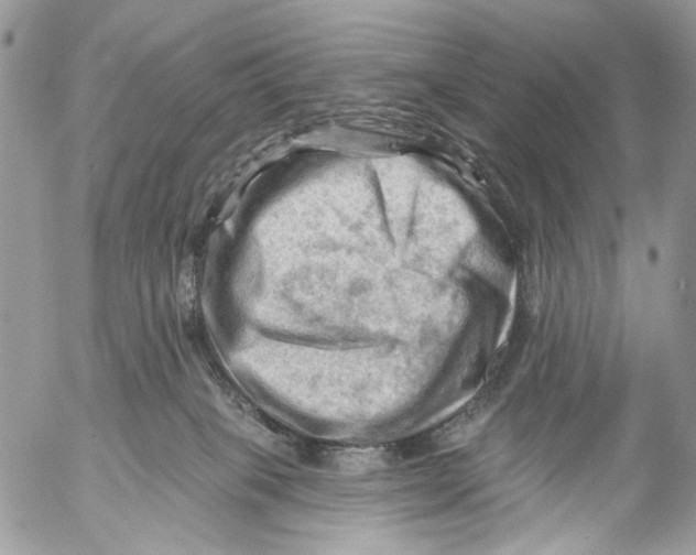 X0000053080085200508081256