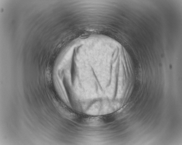 X0000053080086200508081256