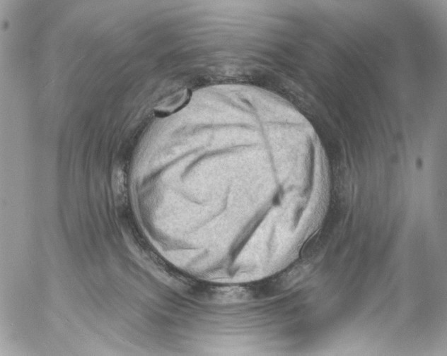 X0000053080087200508081256