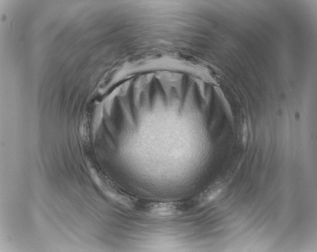 X0000053080088200508081256